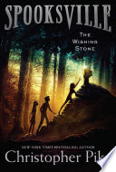 The Wishing Stone cover
