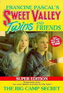 The Big Camp Secret cover