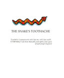The Snake's Toothache: A Q'eqchi Maya Myth cover