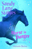 Horse in Danger cover