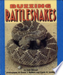 Buzzing Rattlesnakes cover