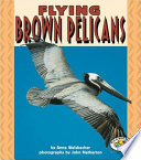 Flying Brown Pelicans cover