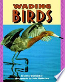 Wading Birds cover