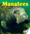 Manatees cover