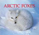 Arctic Foxes cover