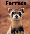 Ferrets cover