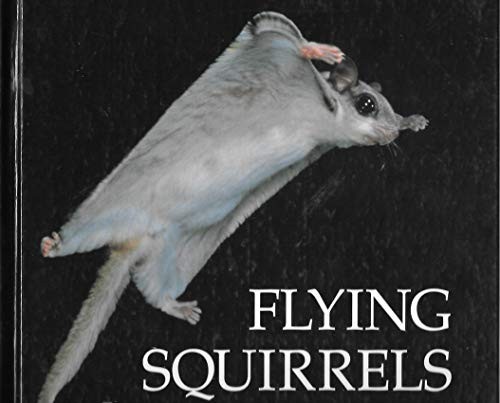 Flying Squirrels cover