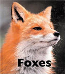 Foxes (Naturebooks) cover