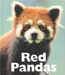 Red Pandas cover