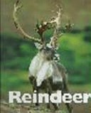 Reindeer cover
