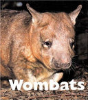 Wombats cover