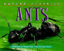 Ants cover