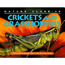 Crickets and Grasshoppers cover