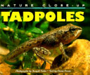 Tadpoles cover