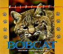 Bobcat cover
