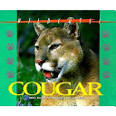 Cougar cover