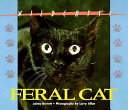 Feral Cat cover