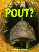 What on Earth Is a Pout? cover