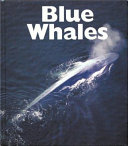 Blue Whales cover
