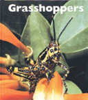 Grasshoppers (Naturebooks) cover