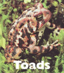Toads cover