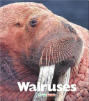 Walruses cover