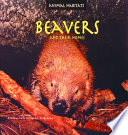 Beavers and Their Homes cover