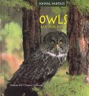 Owls and Their Homes cover