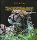 Cheetahs cover