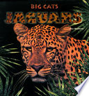 Jaguars cover