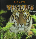 Tigers cover