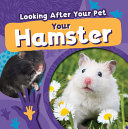 Hamsters cover