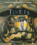 Turtles cover