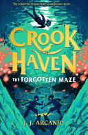 The Forgotten Maze cover
