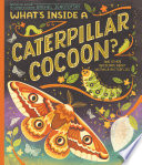 What's Inside a Caterpillar Cocoon? And Other Questions About Moths & Butterflies cover