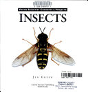 Insects (Young Scientist Concepts & Projects) cover