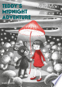 Teddy's Midnight Adventure cover