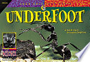 Underfoot cover