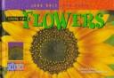 Among the Flowers cover