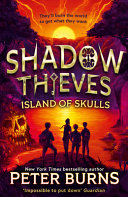 Shadow Thieves cover