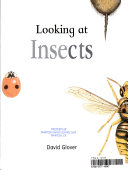 Looking at Insects cover