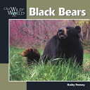 Black Bears cover