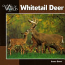 Whitetail Deer cover