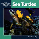 Sea Turtles cover
