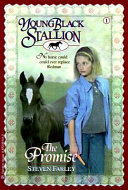 The Promise cover