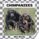 Chimpanzees cover