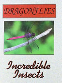 Dragonflies cover