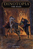 The Maze cover