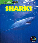 Sharks cover