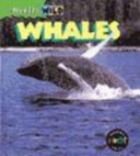Whales cover